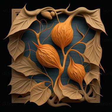 3D модель Haemaphysalis (STL)